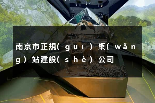 南京市正規(guī)網(wǎng)站建設(shè)公司