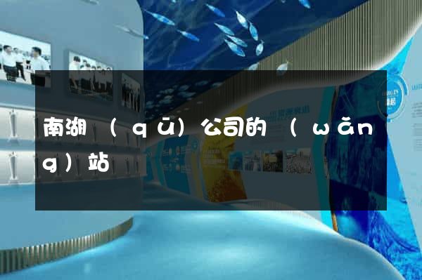 南湖區(qū)公司的網(wǎng)站