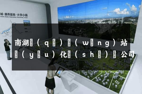 南湖區(qū)網(wǎng)站優(yōu)化設(shè)計公司