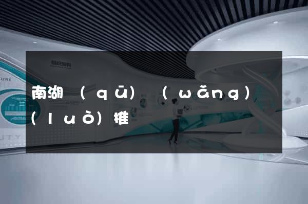 南湖區(qū)網(wǎng)絡(luò)推廣