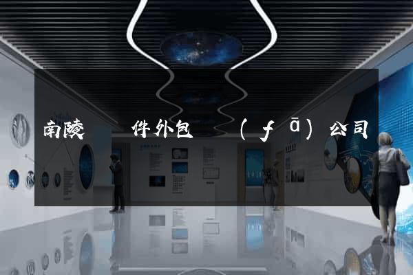 南陵縣軟件外包開發(fā)公司