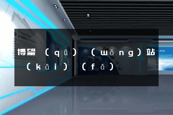 博望區(qū)網(wǎng)站開(kāi)發(fā)