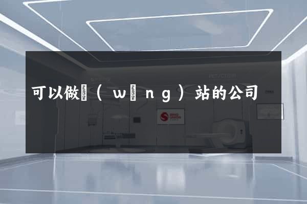 可以做網(wǎng)站的公司