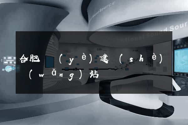 合肥專業(yè)建設(shè)網(wǎng)站