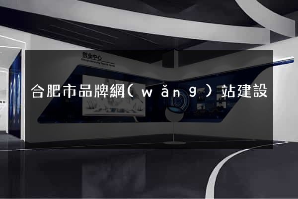 合肥市品牌網(wǎng)站建設
