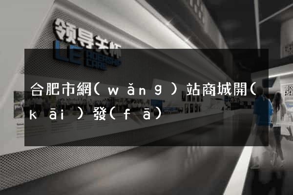 合肥市網(wǎng)站商城開(kāi)發(fā)