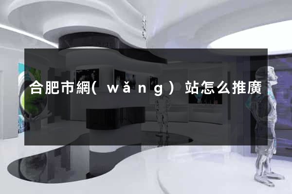合肥市網(wǎng)站怎么推廣