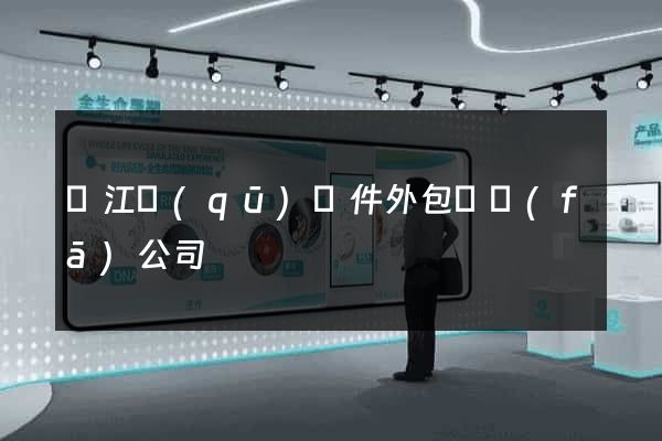 吳江區(qū)軟件外包開發(fā)公司
