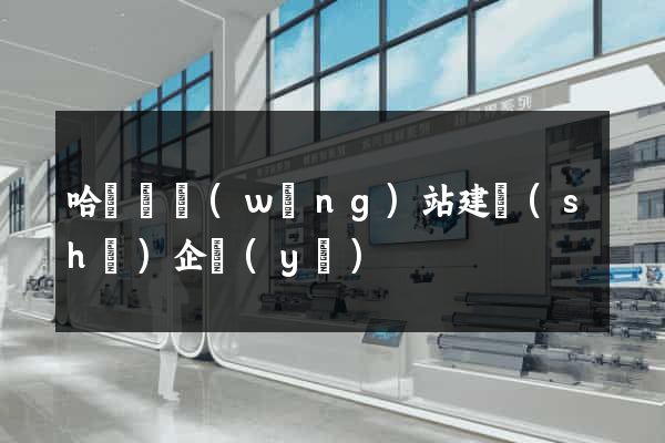 哈爾濱網(wǎng)站建設(shè)企業(yè)