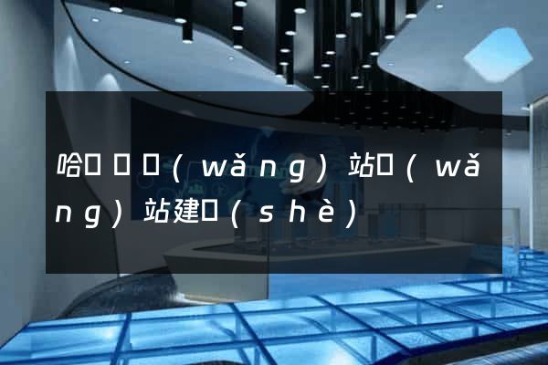 哈爾濱網(wǎng)站網(wǎng)站建設(shè)