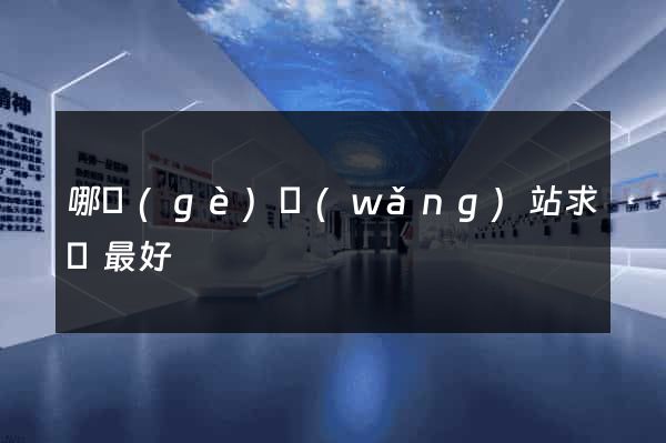 哪個(gè)網(wǎng)站求職最好