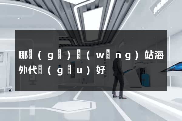 哪個(gè)網(wǎng)站海外代購(gòu)好