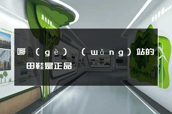 哪個(gè)網(wǎng)站的莆田鞋是正品