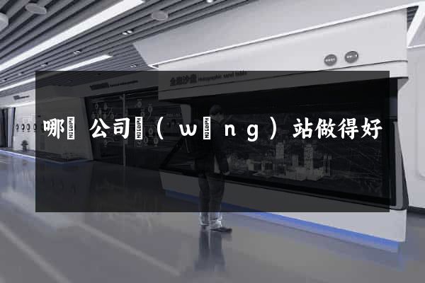 哪個公司網(wǎng)站做得好