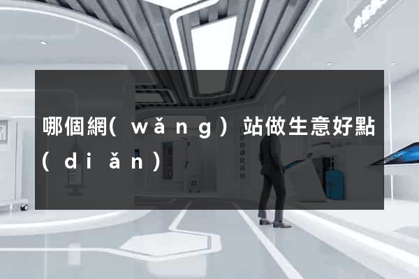 哪個網(wǎng)站做生意好點(diǎn)
