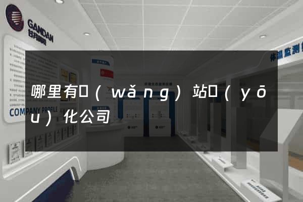 哪里有網(wǎng)站優(yōu)化公司
