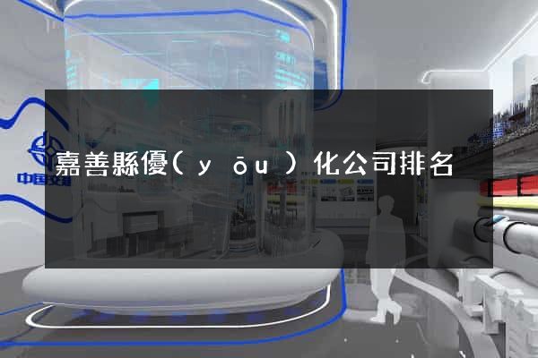 嘉善縣優(yōu)化公司排名