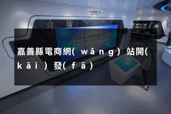嘉善縣電商網(wǎng)站開(kāi)發(fā)