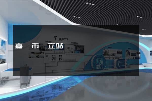 嘉興市獨立站運營