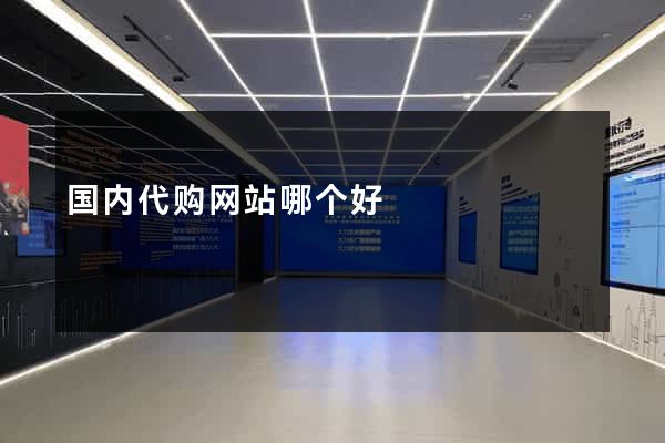 国内代购网站哪个好
