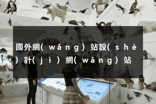國外網(wǎng)站設(shè)計(jì)網(wǎng)站