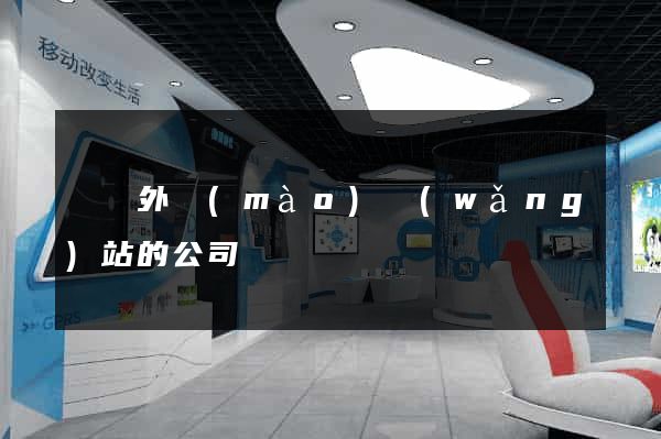 國際外貿(mào)網(wǎng)站的公司