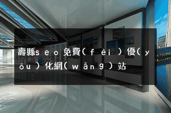 壽縣seo免費(fèi)優(yōu)化網(wǎng)站