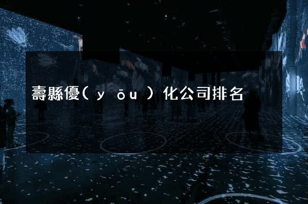 壽縣優(yōu)化公司排名