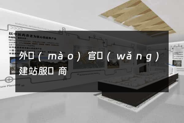 外貿(mào)官網(wǎng)建站服務商