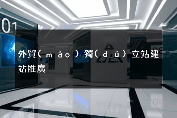 外貿(mào)獨(dú)立站建站推廣