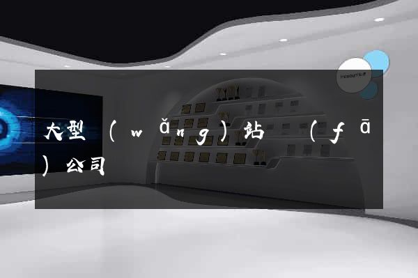 大型網(wǎng)站開發(fā)公司
