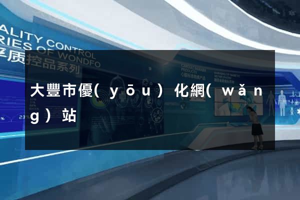 大豐市優(yōu)化網(wǎng)站