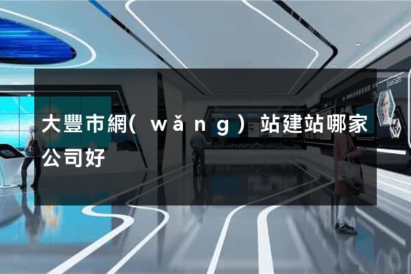 大豐市網(wǎng)站建站哪家公司好