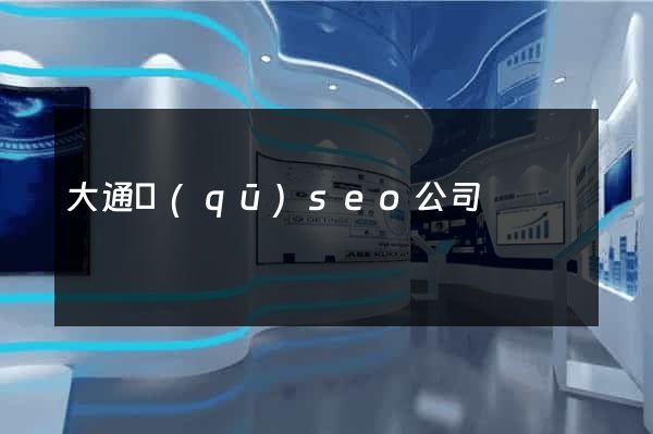 大通區(qū)seo公司