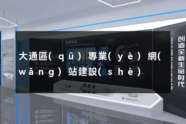 大通區(qū)專業(yè)網(wǎng)站建設(shè)