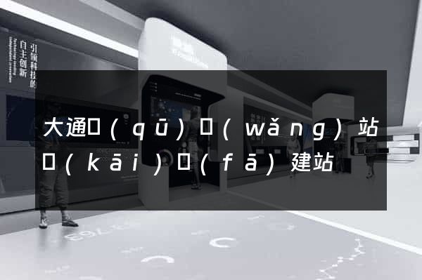 大通區(qū)網(wǎng)站開(kāi)發(fā)建站