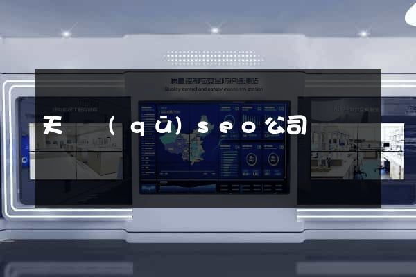 天寧區(qū)seo公司