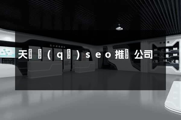 天寧區(qū)seo推廣公司