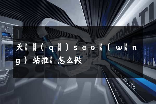 天寧區(qū)seo網(wǎng)站推廣怎么做
