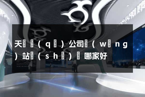 天寧區(qū)公司網(wǎng)站設(shè)計哪家好
