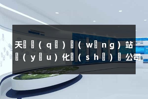 天寧區(qū)網(wǎng)站優(yōu)化設(shè)計公司