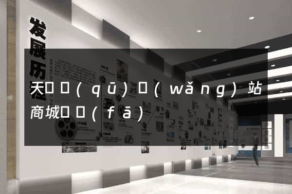 天寧區(qū)網(wǎng)站商城開發(fā)