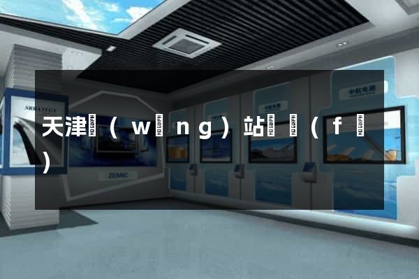 天津網(wǎng)站開發(fā)