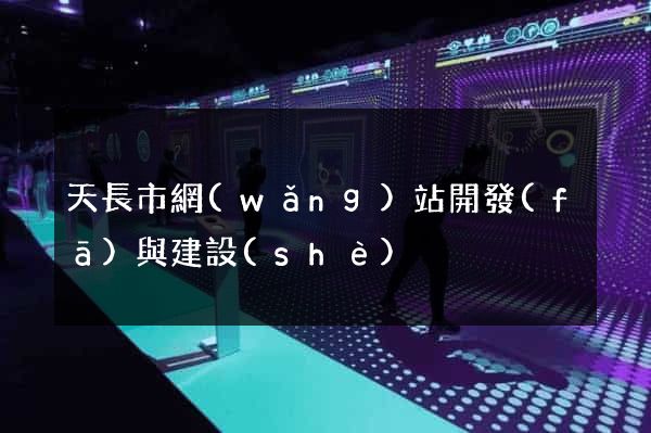 天長市網(wǎng)站開發(fā)與建設(shè)