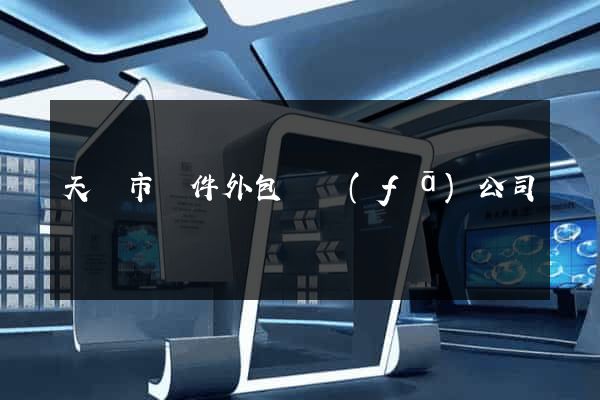 天長市軟件外包開發(fā)公司