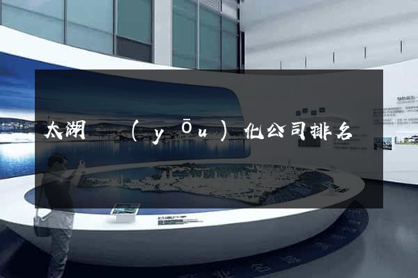 太湖縣優(yōu)化公司排名