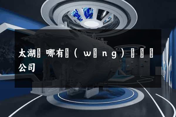 太湖縣哪有網(wǎng)頁設計公司