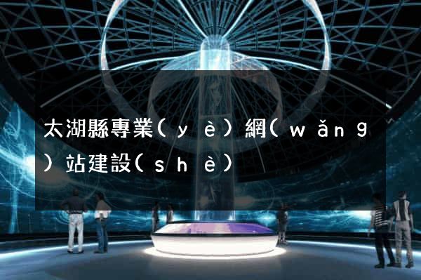 太湖縣專業(yè)網(wǎng)站建設(shè)