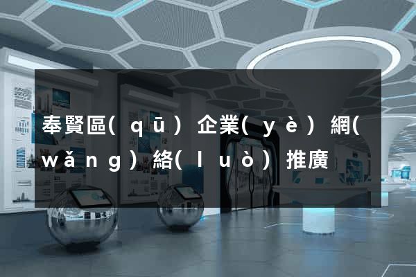 奉賢區(qū)企業(yè)網(wǎng)絡(luò)推廣