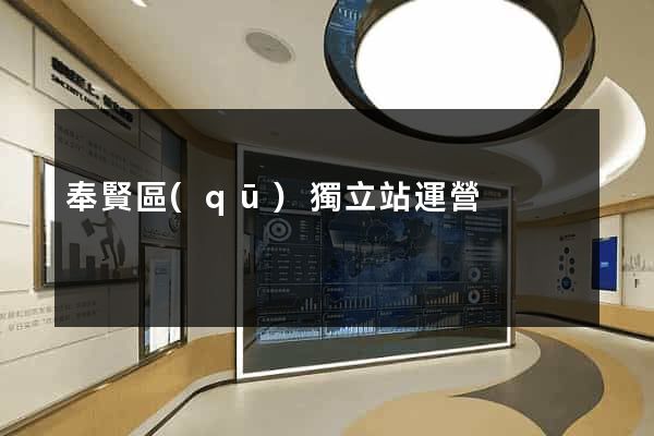 奉賢區(qū)獨立站運營
